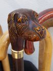 Combination Walking Stick & Umbrella, with Carved Dog's Head Handle