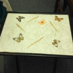 TV Tray - Butterfly Pattern - Close Up