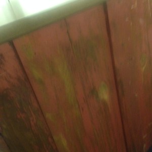 Chest, Small - 3 drawer + cabinet - back, showing original wood