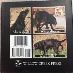 101 Uses for a Lab 2