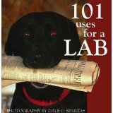 101 Uses for a Lab