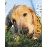 Extraordinary Photographs of Wonderful Dogs