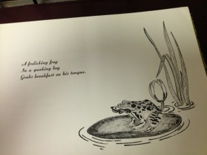 Reflections on Maine 5