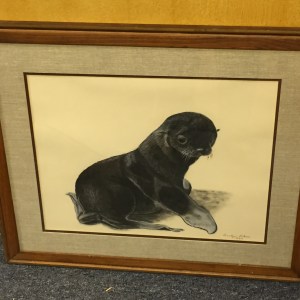 Art - Baby Seal
