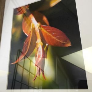 ArtWalk - Brandon Goding 10