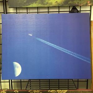 ArtWalk - Brandon Goding 2