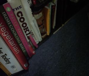 Cookbooks 13