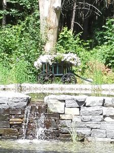 AFTER - A gal from Greene was thrilled to send this photo of our old goat cart repurposed as a flower cart. What a lovely idea!