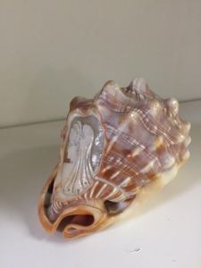Vintage Shell with Cameo